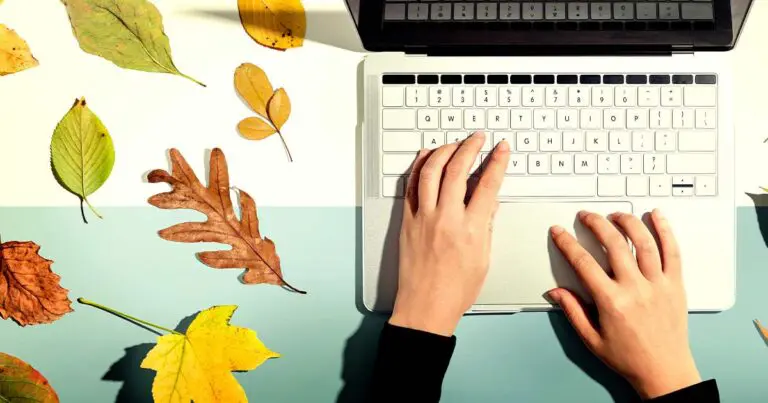 Overhead view of hands typing on a silver laptop keyboard, surrounded by various colorful autumn leaves arranged on a split-color background of white and light blue, evoking a seasonal theme.