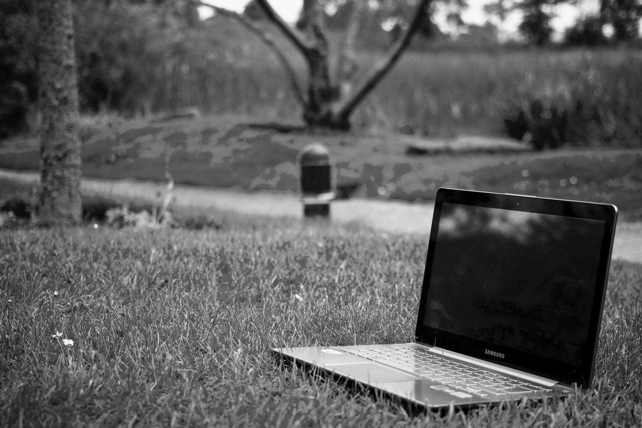 laptop on top of grass in a park