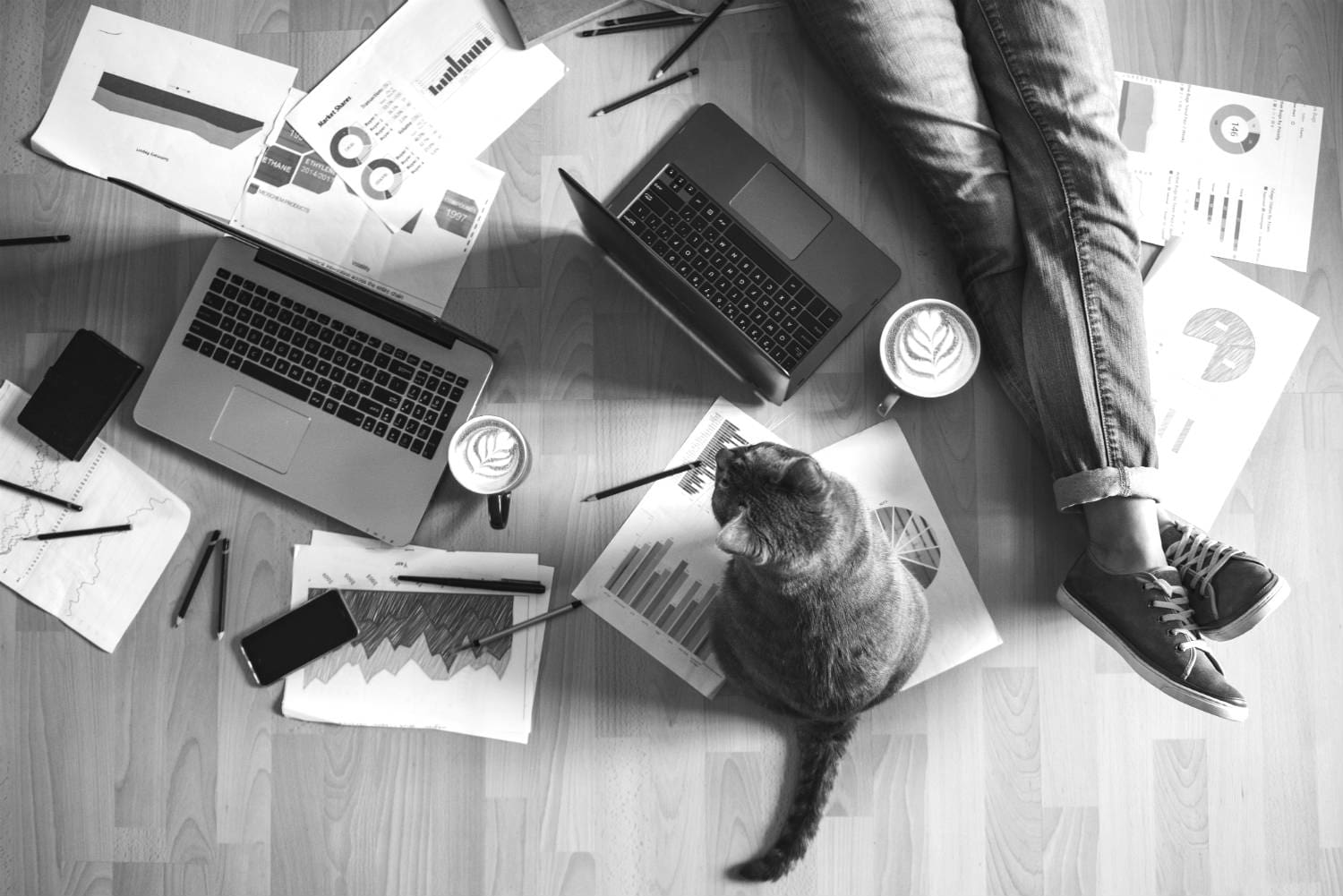 Person working on the floor with laptops coffee papers and a cat next to them